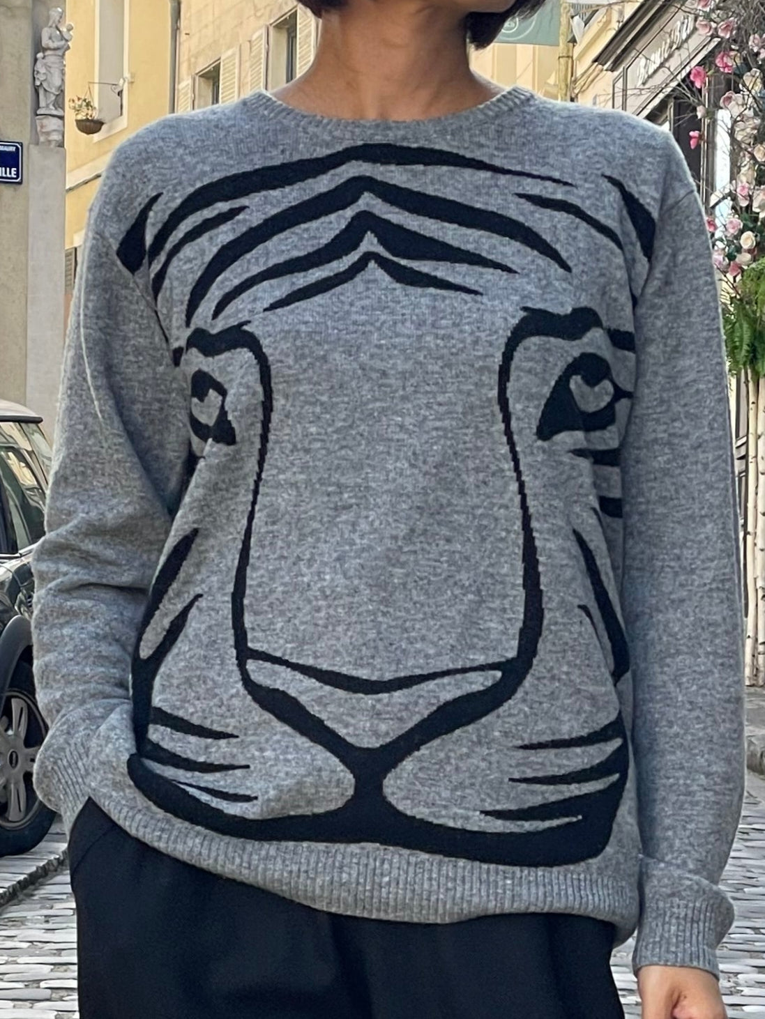 Pull col rond en cachemire et laine – Motif tigre